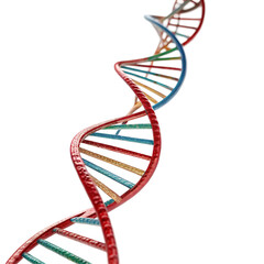 dna helix on white background
