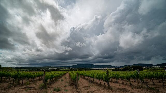 Timelapse of storm clouds over vineyards and the village of Sant Pere de Ribes, Garraf, Catalonia.



