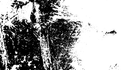 High-Resolution Distressed Grunge Wall Texture with Scratches and Dust for Background or Overlay Use, wall background, Isolated on transparent background, PNG