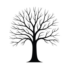 Obraz premium Elegant black silhouette of a bare tree on a white background perfect for designs