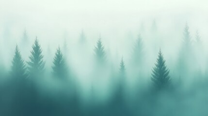 Obraz premium Misty Pine Forest in Foggy Morning Light 