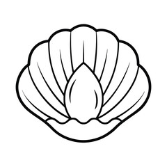 seashell vector illustration