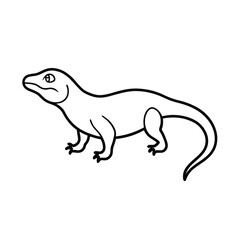 lizard on white background