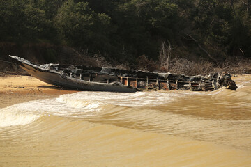 Wrecked and Washed Ashore