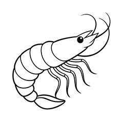 outlined vector design of shrimp line art