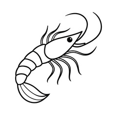 outlined vector design of shrimp line art