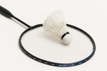 badminton racket and shuttlecock