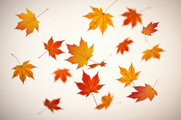 Orange fall leaves flying, white background