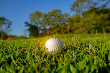 Golf ball is on a green lawn in a beautiful golf course with morning sunshine.