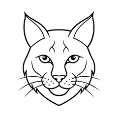 vector line drawing of lynx face illustration