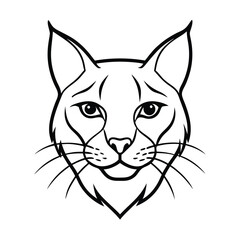 vector line drawing of lynx face illustration