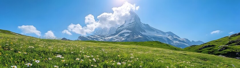 Fototapeta premium Lush alpine meadow beneath a majestic mountain peak.