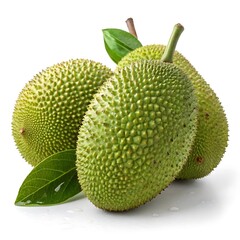 Three green jackfruits with their stems and leaves on a white background