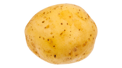 Potato on Transparent Background.