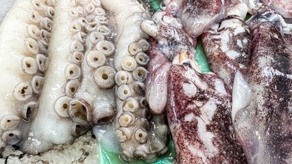 Frozen octopus tentacles glisten like alien relics, evoking coastal celebrations and the mystical...