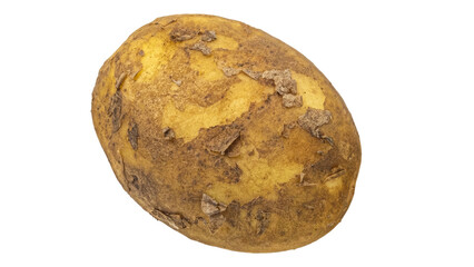 Potato on Transparent Background.
