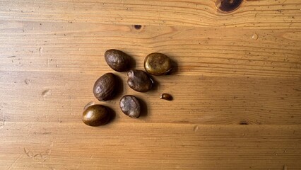 Weathered avocado seeds scatter like ancient relics on rustic wood, invoking Fornacalia feast and...