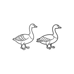 goose