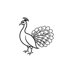 peacock