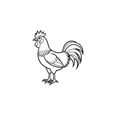 rooster