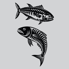 Anchovy Artistic Fishing Illustration