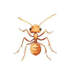 A Detailed Watercolor Illustration of a Cute Little Ant