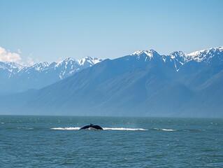 Whale surfacing in ocean with mountains