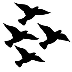 Silhouette of Flying Birds on a White Background, Representing Freedom and Grace