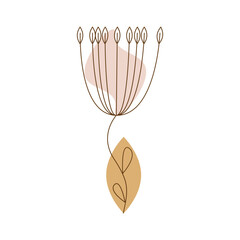 Thin botanical seed head flower with warm toned leaves.