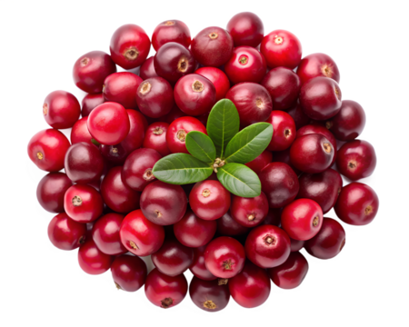 top view image of ripe red currant pile   isolated on white background. PNG Transparent file type with high definition quality And vibrant color grading Available.