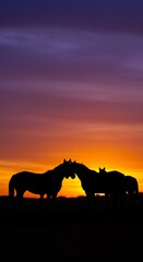 Fototapeta premium Sunset Silhouettes: Equine Embrace