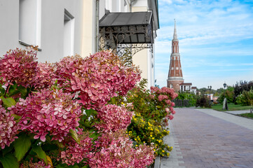 Fototapete bei efototapeten.de bestellen   