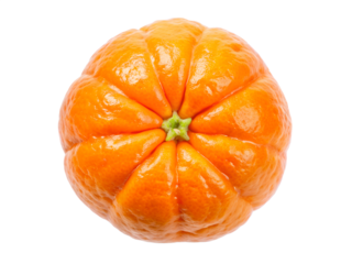 orange  isolated on white background. PNG Transparent file type with high definition quality And vibrant color grading Available.
