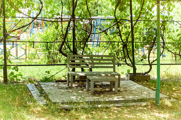Relaxation area under the shade of grapes