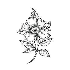 Hand drawn flower bouquet. Design element.