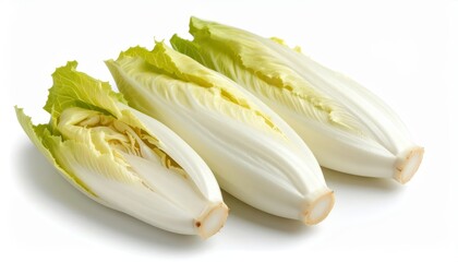  fresh endive isolated on white background, organic and healthy food, raw vegetable
