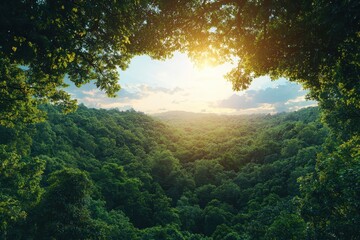 Sunrise over lush green valley nature landscape serene environment scenic viewpoint tranquility concept