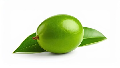  fresh Pūhā isolated on white background, organic and healthy food, raw vegetable