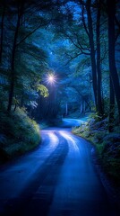 Obraz premium Moonlight path through forest