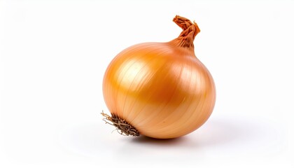  fresh shallot isolated on white background, organic and healthy food, raw vegetable
