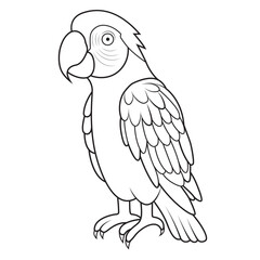 Line Art Parrot vector Illustration 