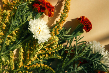 Bouquet of fresh white chrysanthemums, red marigolds, and yellow wildflowers arranged on a peach pastel background. Minimal top view with natural shadows