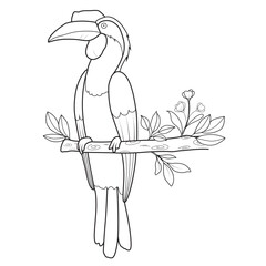 Hornbill Perched on a Branch Black and White Line Art Illustration