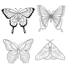 Butterfly drawing vector illustration for coloring