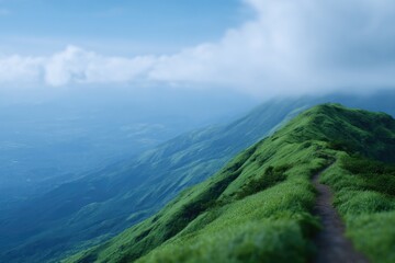 serene landscape with solitary hiker walking along winding path greenery surrounding sky vast and open