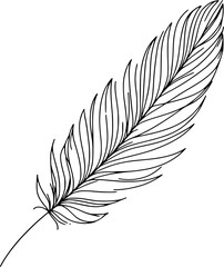 A feather sketched in one continuous line