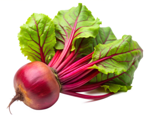 red and green onions isolated on white background. PNG Transparent file type with high definition quality And vibrant color grading Available.