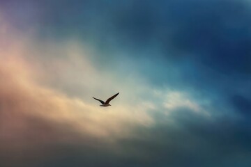 Obraz premium single bird soars across vast sky its silhouette distinct against backdrop of ethereal hues