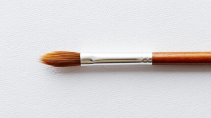 Fototapeta premium single paintbrush lays on blank canvas creating elegant contrast epitomizing minimalistic beauty