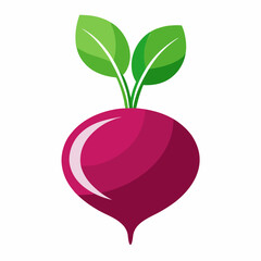 Beet icon on white background 